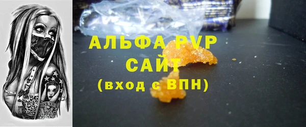индика Володарск