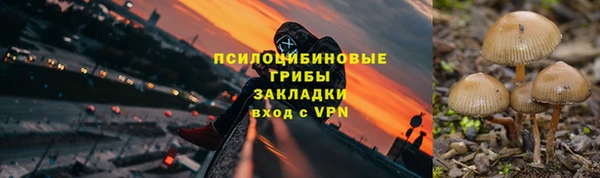 индика Володарск