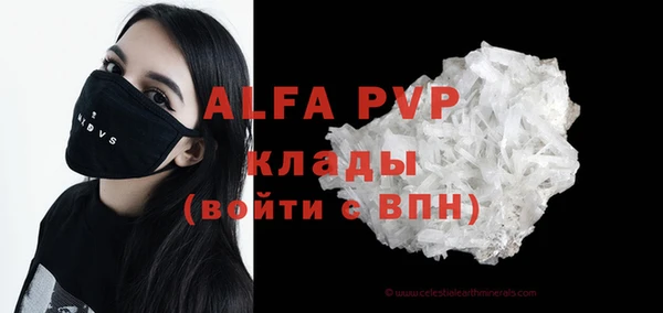 индика Володарск