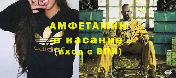 индика Володарск