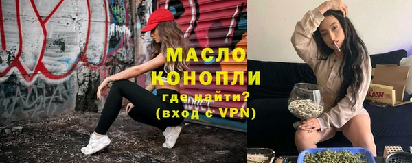 индика Володарск