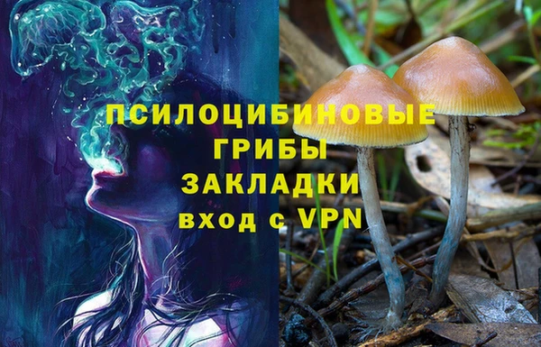индика Володарск