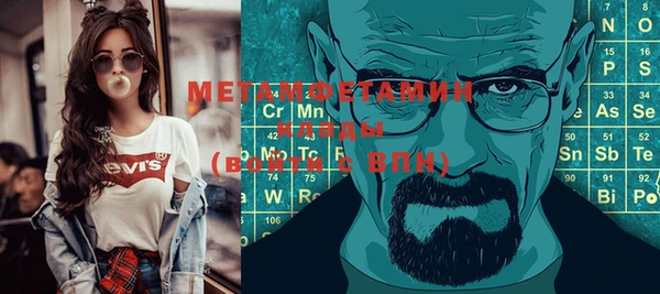 индика Володарск