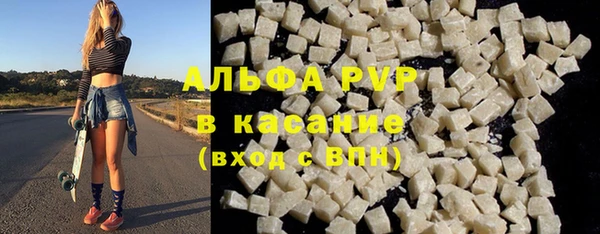 индика Володарск