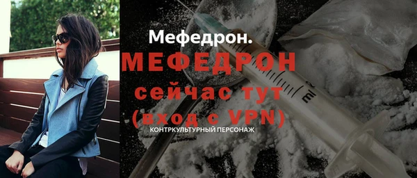 индика Володарск