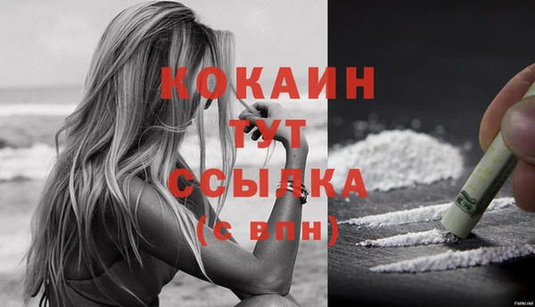 шишки Вязники