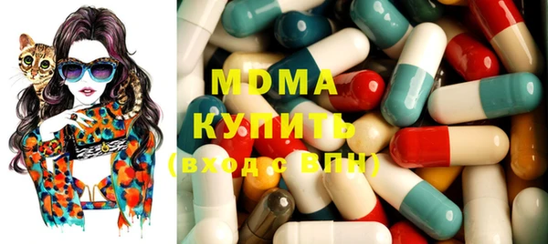 индика Володарск
