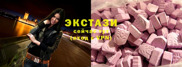 индика Володарск